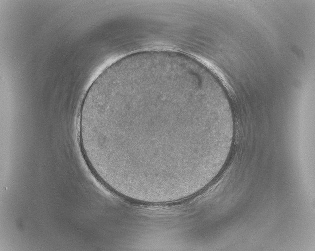 X0000115581383200912221040