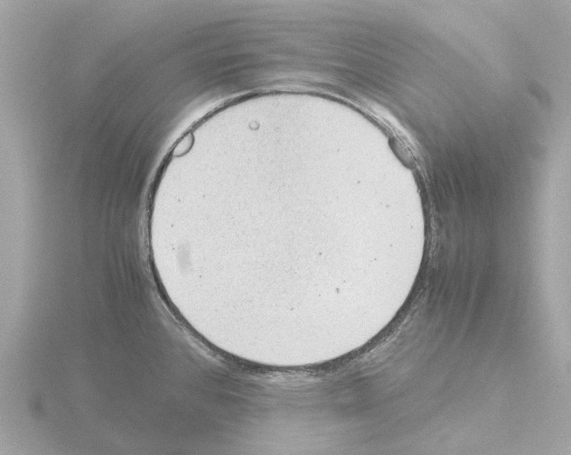 X0000115581384200912221040