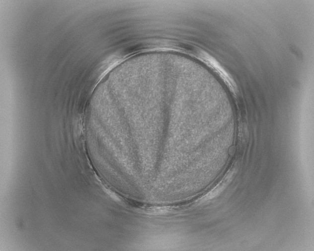 X0000115581385200912221040