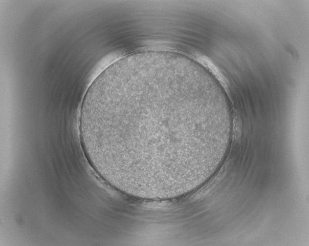 X0000115581386200912221040