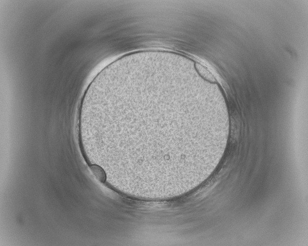 X0000115581387200912221040