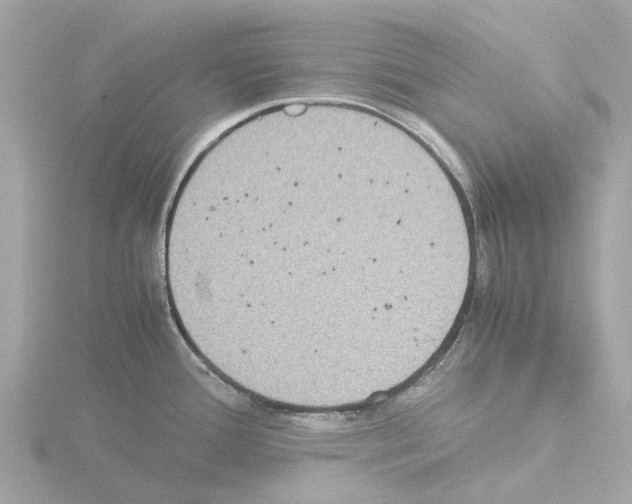 X0000115581388200912221040