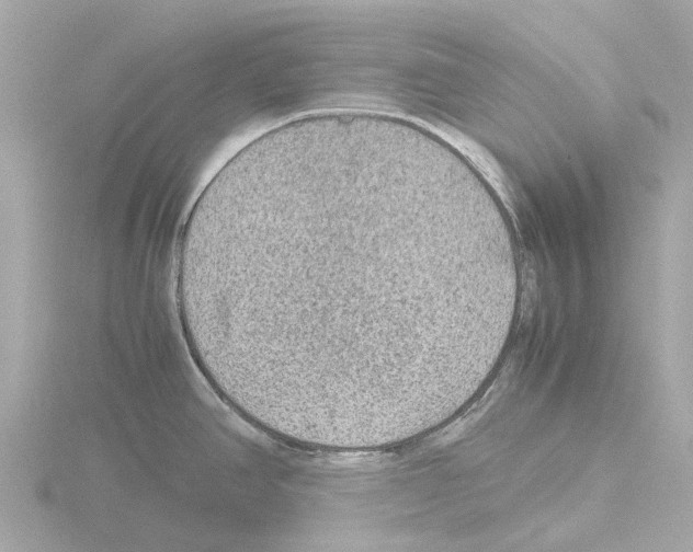 X0000115581390200912221040