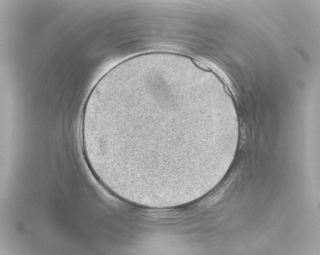 X0000115581391200912221040