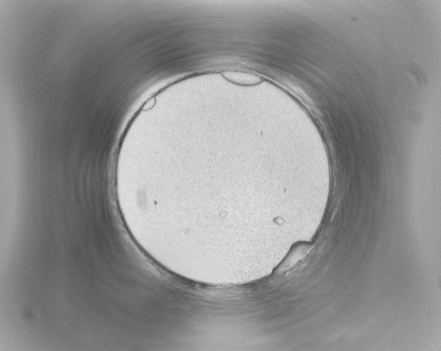 X0000115581392200912221040