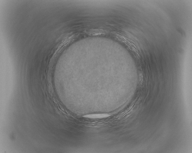 X0000115581393200912221040