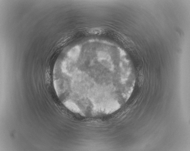 X0000115581394200912221040