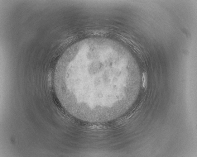 X0000115581395200912221040