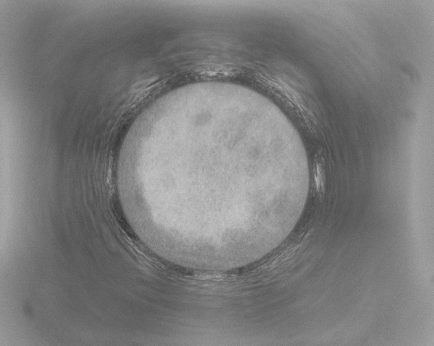 X0000115581396200912221040