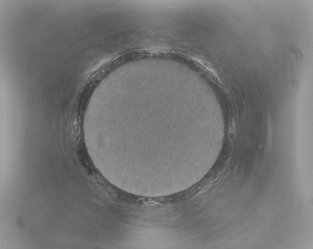 X0000115581398200912221040