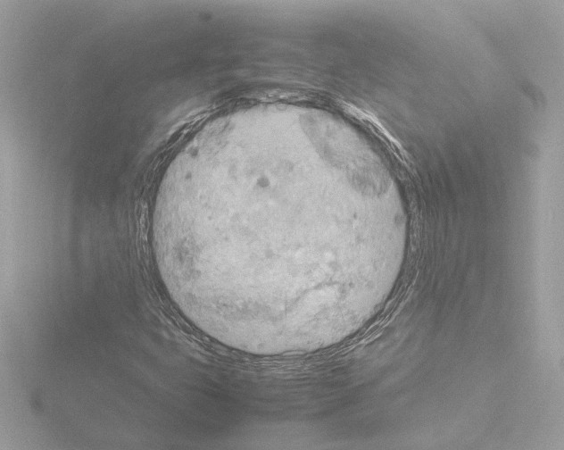 X0000115581399200912221040