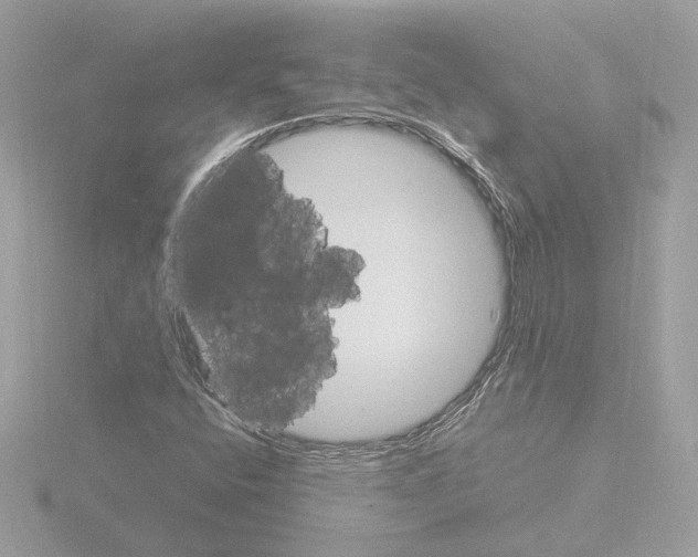 X0000115581400200912221040