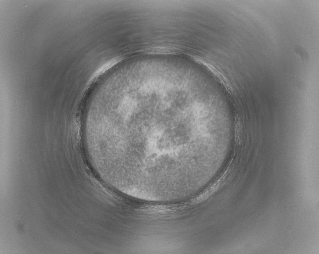 X0000115581402200912221040