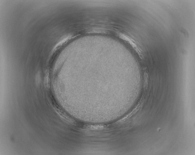 X0000115581403200912221040