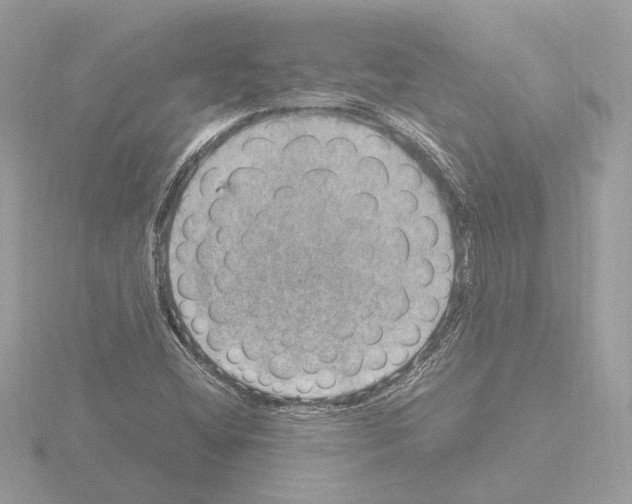 X0000115581404200912221040