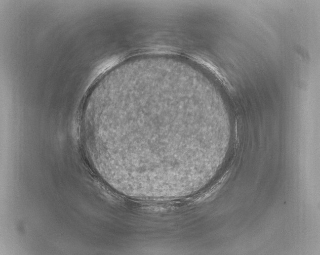 X0000115581405200912221040