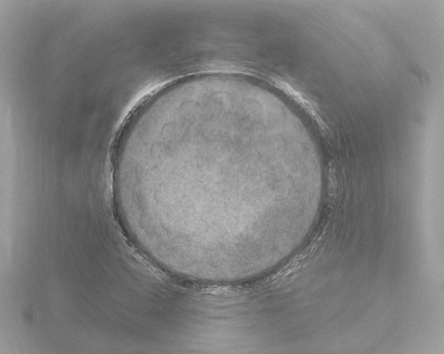 X0000115581408200912221040