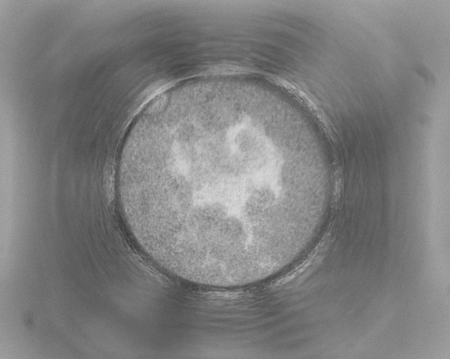 X0000115581409200912221040