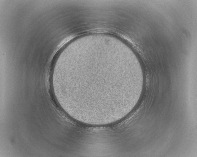 X0000115581410200912221040