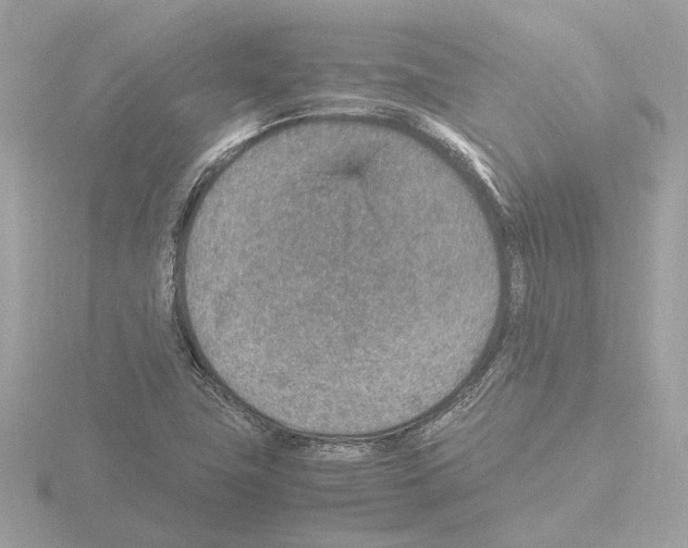 X0000115581411200912221040