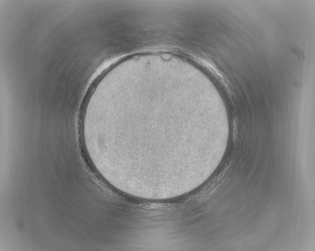 X0000115581412200912221040