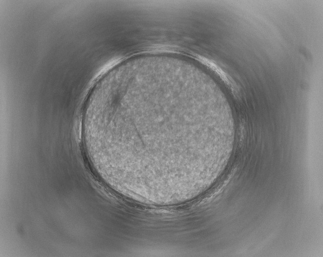 X0000115581413200912221040