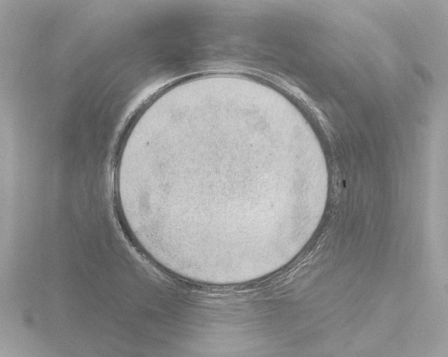 X0000115581416200912221040