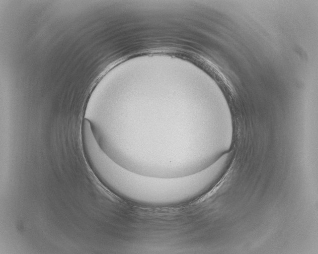 X0000115581417200912221040