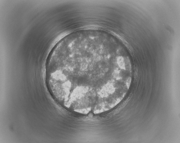 X0000115581418200912221040