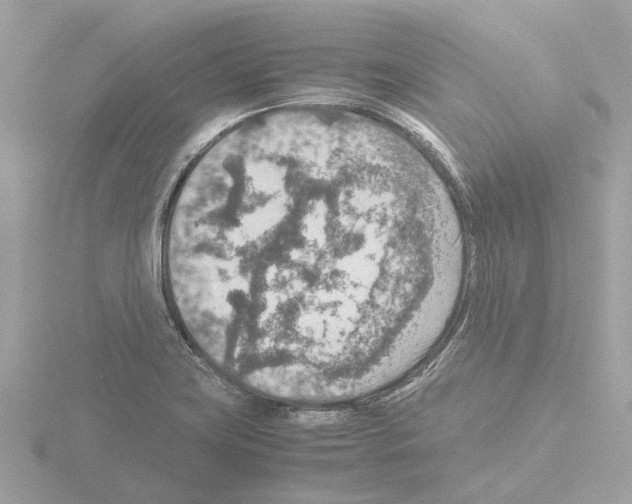 X0000115581419200912221040