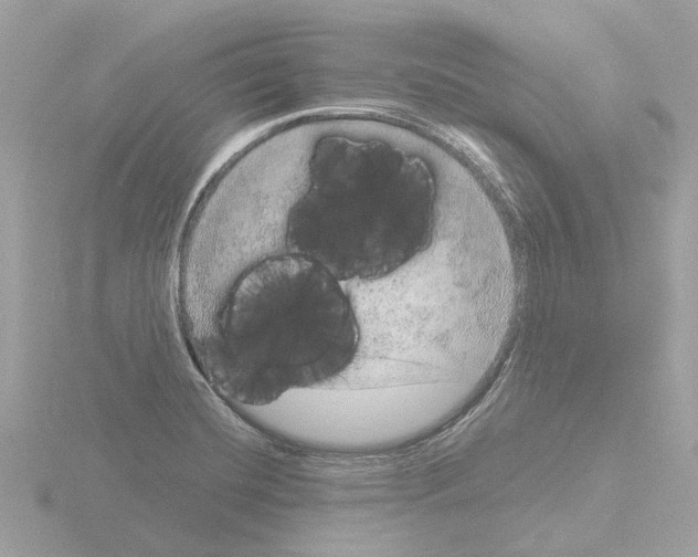 X0000115581420200912221040