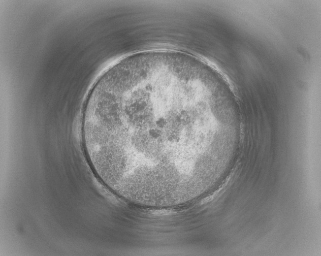 X0000115581421200912221040