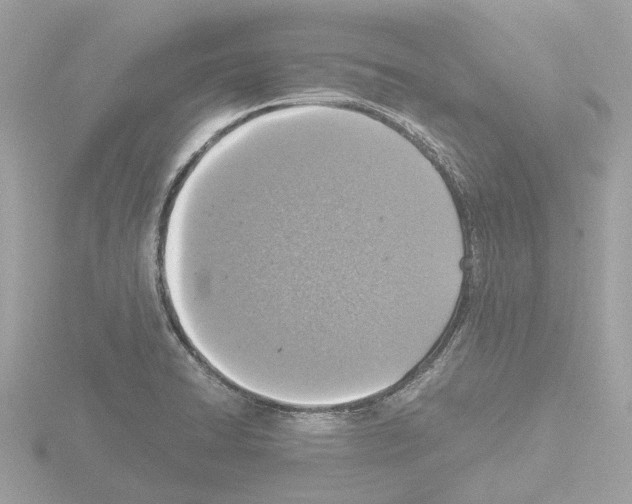 X0000115581422200912221040