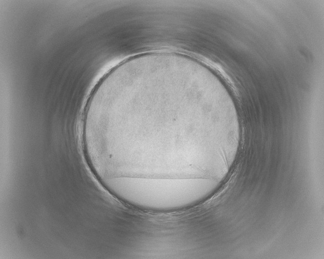 X0000115581424200912221040