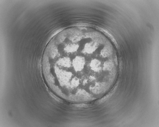 X0000115581425200912221040