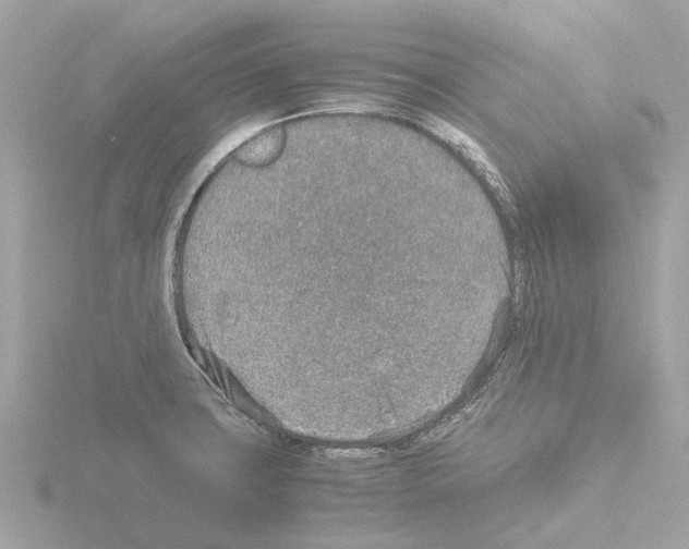 X0000115581427200912221040