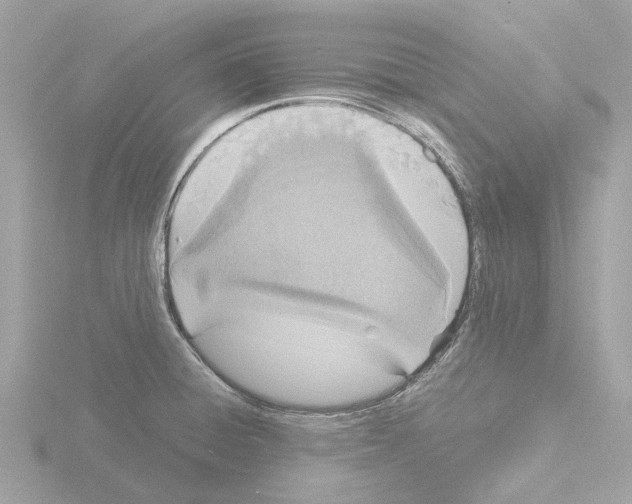 X0000115581428200912221040