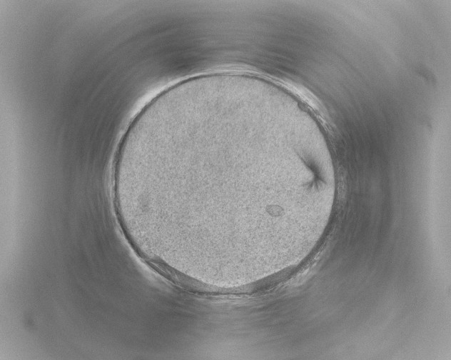 X0000115581430200912221040