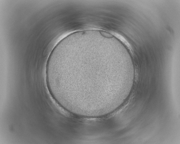 X0000115581431200912221040