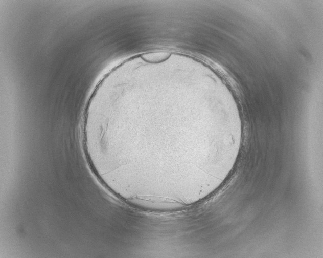 X0000115581432200912221040