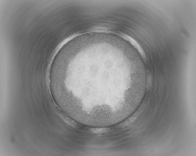 X0000115581435200912221040