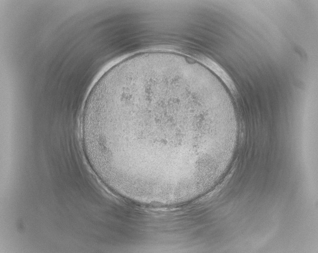 X0000115581436200912221040