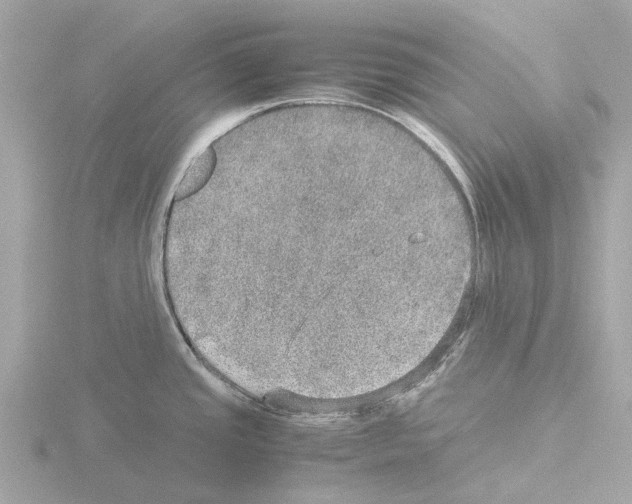 X0000115581437200912221040