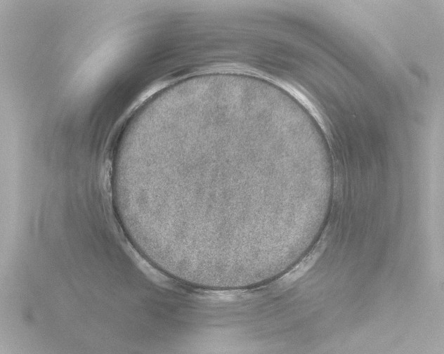 X0000115581438200912221040