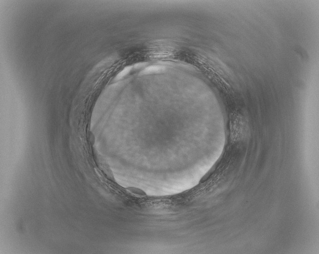 X0000115581441200912221040