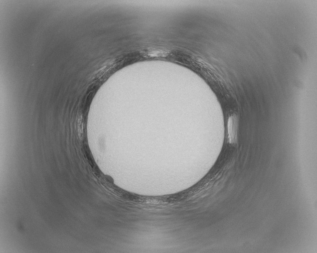 X0000115581443200912221040