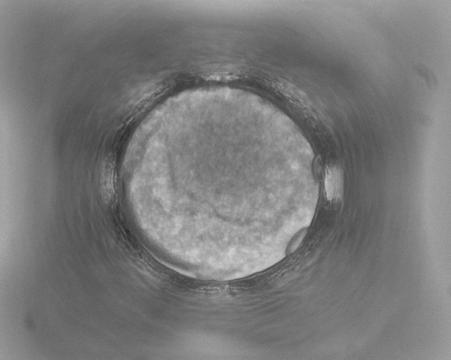 X0000115581444200912221040