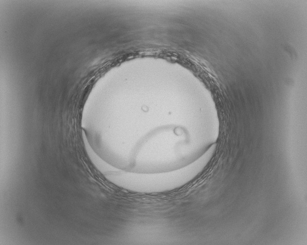 X0000115581445200912221040