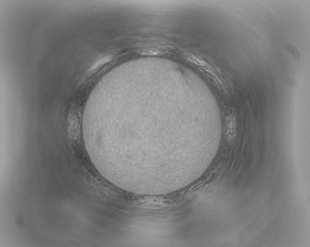 X0000115581446200912221039