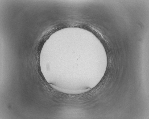 X0000115581447200912221039